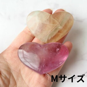 t[Cg n[g ^u 1 VR t[Cgn[g p[Xg[ VR΃n[g p[Xg[n[g  Pasmii