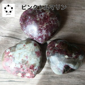 sNg} n[g ^u 1  CeA VR g} sN v[g p[Xg[ dC 10a