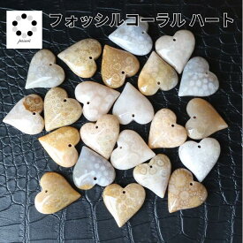【お買い物マラソン限定1000円】フォッシルコーラル ハート ペンダントトップ 1個 パーツ チャーム ピアス DIY ハンドメイド コーラル 天然石 ペンダント レディース メンズ 癒し プレゼント 贈り物 癒しの石 母の日