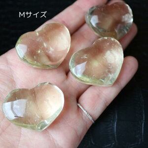 Vg n[g 1 VR p[Xg[  ^ d^ 蕨 CeA  u v[g fB[X Y j LO Mtg