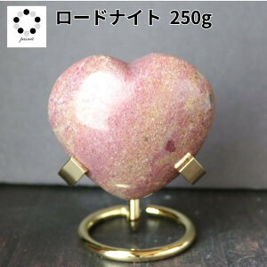 VR [hiCg n[g 250g  u CeA v[g 蕨 Mtg  o^C zCgf[ p[Xg[ ԃIW pasmii