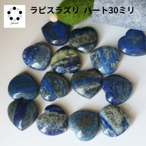 sXY n[g  1 u CeA VR  v[g 蕨 ^ VR u CeA  J^ v[g j Mtg o^C zCgf[ NH[c