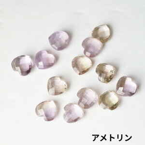 VR n[g VFCv 9mm 1  u CeA VR v[g RNV 蕨 Mtg v[g 