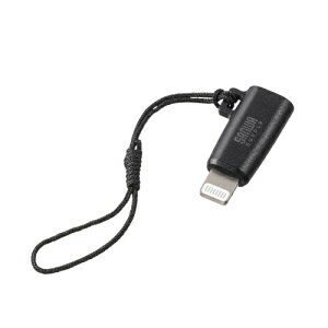 y[zTTvC USB Type-C to LightningϊA_v^iMFiF؁EXgbvtEubNj