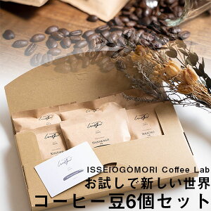 ISSEIOGOMORI Ĉꐽ R[q[ 6Zbg Zbg  q Ԓ  g e IWi uh RrA G`IsA ChlVA PjA Z  肢 u