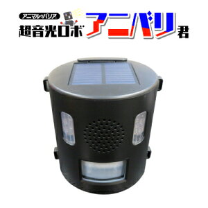 yKizAj}oA AjoN Qb΍ L悯 JX悯 ^ Lcl  RE XY co  JX  \[[ drsv [IJ-ANB-21] ZT[m  A[ LED
