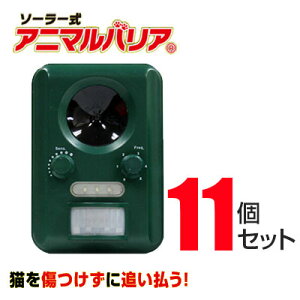 Aj}oA 11Zbg L悯 L Lގ g \[[ [d\ drsv L悯 L [IJ-ANB-03] Aj}oA ZT[m L L ގ L ƒ؉ ˂悯 