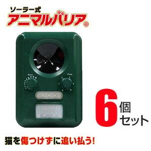 Aj}oA 6Zbg L悯 L Lގ g \[[ [d\ drsv L悯 L [IJ-ANB-03] Aj}oA ZT[m L L ގ L ƒ؉ ˂悯 