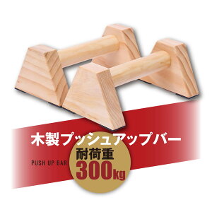 y25cmz ̑ |o[ ؐ vbVAbvo[ s_ ~ 萫 ω׏d300kg g[jO rĕ t LVbg
