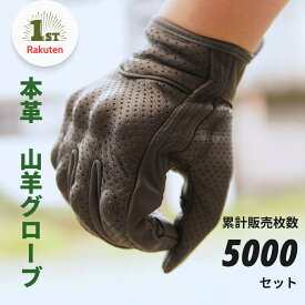 【楽天1位】 Tranform(トランフォーム) バイクグローブ 本革 レザー メンズ レディース 男女兼用 オールシーズン スマホ対応 プロテクター付き 黒 秋冬 春夏対応 大きいサイズ メッシュ仕様 プレゼントにも