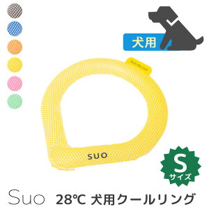 XI p 28 NEW N[OSiSuo   Ђ MǑ΍ AEghA STCY hbO ybgpjy[֑z
