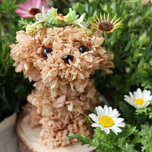 yԂ݁z  hbO   񂿂 e q  dog ybg eA gCv[h ~bNX v[h t[ hCt[  uE 蕨  t[ M