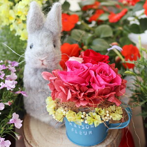 yԂƂzn[g vU[uht[ j ސEj uU[ht[ LO uU[uht[ uU[h uU[uh 킢 q u[ Jg[ c yb