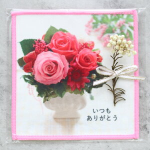 y10z킢 ~j vU[uht S߂ 肪Ƃ  p\RNX Klӂ p\R X}z }`N[i[ }CNt@Co[NX |GXe100 10cm×1