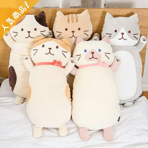 ݁@ʂ L  Mtg    NbV LN^[ ӂӂɂ nsY HAPiNS