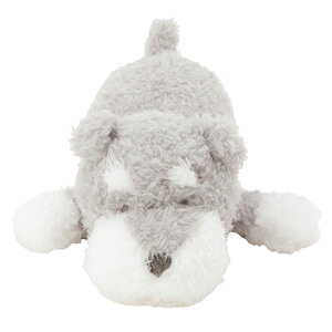 Aj}ʂ݁@ʂ݁@@Aj}@ViEU[@Lcl@ӂӂ@킢@@Mtg@nsY