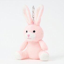 キーホルダー ぬいぐるみ マスコット グッズ マスコットキーホルダー 動物 アニマル 通園 通学 学校 旅行 お出かけ 遠足 かわいい 可愛い おしゃれ 誕生日 ギフト プレゼント うさぎさん