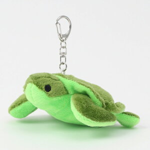 L[z_[ ʂ }XRbg ObY }XRbgL[z_[  Aj} ʉ ʊw wZ s o  킢   a Mtg v[g ݂߂ 