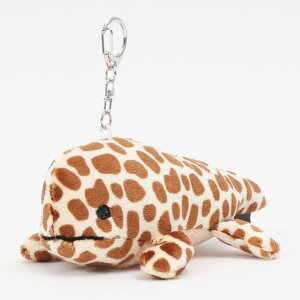 L[z_[ ʂ }XRbg ObY }XRbgL[z_[  Aj} ʉ ʊw wZ s o  킢   a Mtg v[g 񂵂傤