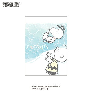 Xk[s[ Xk[s[~j/gɂՂՂ