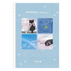 N[A B6m[g I[fBi[fCY/fj