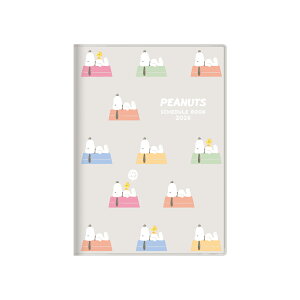 Xk[s[  B6 Jo[ hbOnEX 2026N XPW[ 蒠 2026N H