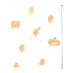 J~IWp W[V[Ȃɂ񂶂t@Xi[t6Pt@C