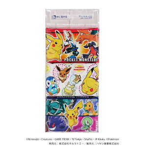 |PbgX^[ |PbgeBbV 6P |P