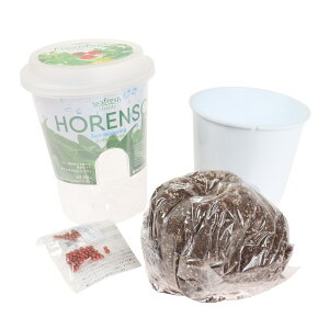 |pi ͔|Lbg A͔| ƒ؉ tbVtB[ T_zE\E T_ق ڃ|bg̒ɐ𒍂 ̃^C~O₷ u₩ q l R