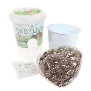 |pi ͔|Lbg A͔| ƒ؉ tbVtB[ xr[[t~bNX ڃ|bg̒ɐ𒍂 ̃^C~O₷ u₩ q l R ċx݂̏h