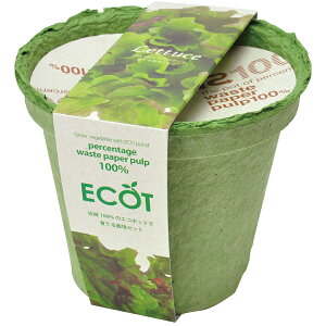 |pi ͔|Lbg A͔| ƒ؉ GRbg MTCY ^X  l GR q l R ċx݂̏h  ̓