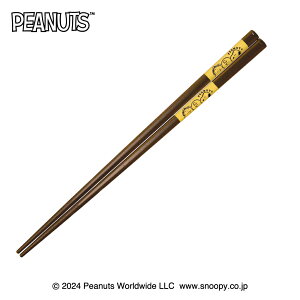 Xk[s[ H `ObY  ͂ Xk[s[^CLOSE UP