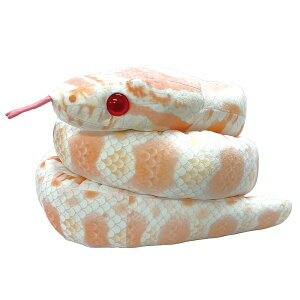 eCNIt ʂ ߋ R[Xl[N Arm wr ւ  wr͗l ւѕ wr Xl[N ঒ ͒ FN₩ SČ   퐶 Mtg v[g av