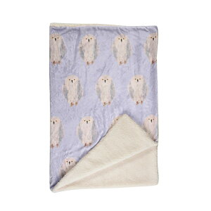 ӂ낤 Ђ| G| Ђ uPbg {A y ӂӂ wZ E 킢  Mtg v[g p[v c73×100cm