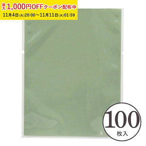 bsO g[pbN  (X[L[O[) 100 }h[kΉ/G[WXΉ  ĉَq bsO XFP019-100