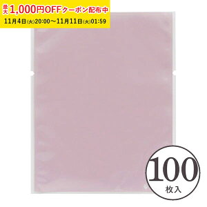 bsO g[pbN  (X[L[sN) 100 }h[kΉ/G[WXΉ  ĉَq bsO XFP020-100