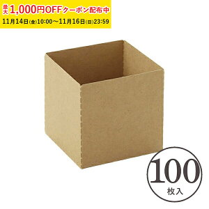 L[uJbv 55M(Ntg) 100 Ɩp }tBJbv }tB^ JbvP[L P[LJbv x[LOJbv { ^ ĝ   Č^ v[g َq  