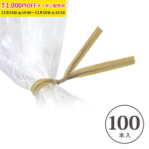 rj^C (aNtg) 100{ bsO^C J[^C m[YC[ @C[ }XNC[ VTKR-100