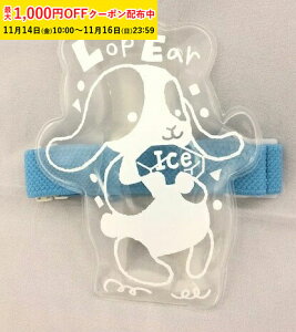 ۗ bvC[rbg`oht(×NA) 1 ٓ ` eCNAEg 킢 xgt WEB31-1