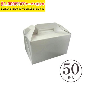 eCNAEg{bNX () 50 َq  P[L bsO eCNAEg P[L WK02-50