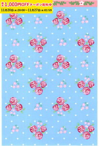 bsO M(}Xt[u[) 100  , ĉَq , bsO Co89-100