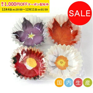 WF05678A-96 t[Jbv4A\[g 96tB aَq ٗpi t@Ng[Z[ ٓ ٓObY  Jbv e 