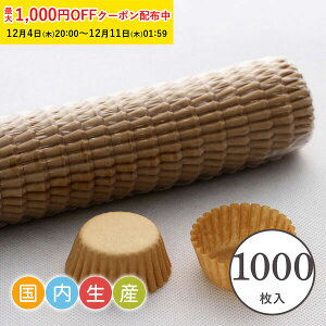 C5F-1000 }tB^pOVJbv5F Ntg 1,000 Ɩp 12p^pbsO pi  v[g  َq  ٗpi