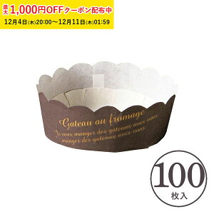 `[YP[LJbv S(uE) 100 Ɩp `[YP[L ^ A`[YP[L Kg[VR w  V CH74-100