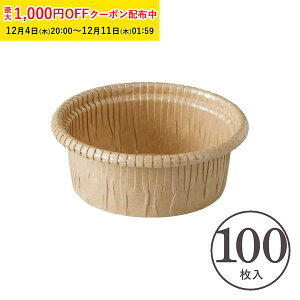 J[Jbv S(Ntg) 100 Ɩp `[YP[L ^ A`[YP[L Kg[VR w  V CR8739-100