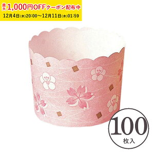 }tBJbv M(TN/E) 100 Ɩp }tB^ JbvP[L P[LJbv x[LOJbv { ^ ĝ   Č^ v[g َq  ٗpi w 