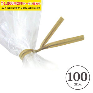 rj^C (aNtg) 100{ bsO^C J[^C m[YC[ @C[ }XNC[ VTKR-100