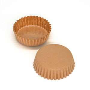 ybgJbv ی^ 5.5cm×2.0cm(n) 300 ybgJbv  ybg }h[kJbv w  V PTC05520J-300 nEB