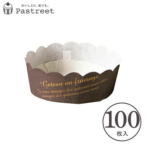 `[YP[LJbv S(uE) 100 Ɩp `[YP[L ^ A`[YP[L Kg[VR w  V CH74-100