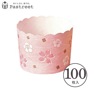 }tBJbv M(TN/E) 100 Ɩp }tB^ JbvP[L P[LJbv x[LOJbv { ^ ĝ   Č^ v[g َq  ٗpi w 